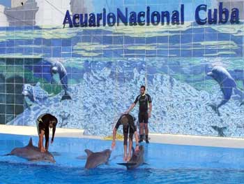 Acuario Nacional, avenida Primera •]• Restaurant à l'Acuario