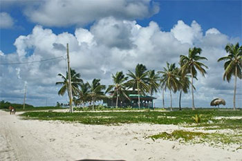 Playa Los Cocos - ranchon : snacks & bar