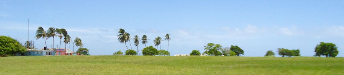 Y a pas que du sable, il reste de la verdure