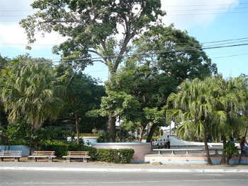 Parque del Bosque, le coeur vert de la ville