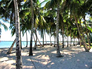 The beach in Caleton  © sogestour 