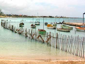 Barcas sur la plage •|• Caballo solo clic © sogestour