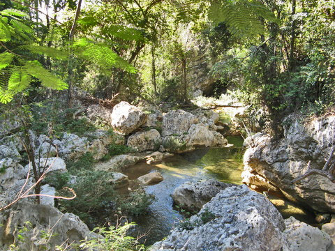 Topes de Collantes © Lena, picturepush.com