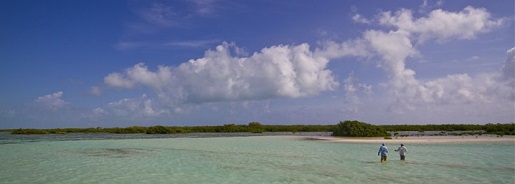 Pêche au lancer
                                a la mouche sur Cayo Cruz