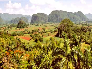 Vallée de Viñales © sogestour