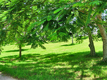 Parque Lenin © Ecobio, flickr.com